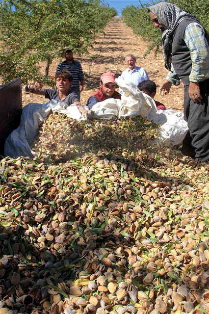 Kimse bunu beklemiyordu