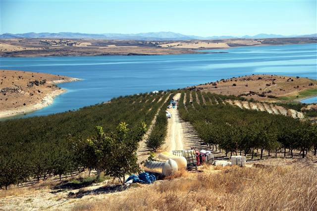 Kimse bunu beklemiyordu