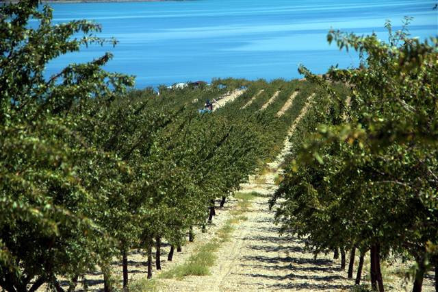 Kimse bunu beklemiyordu