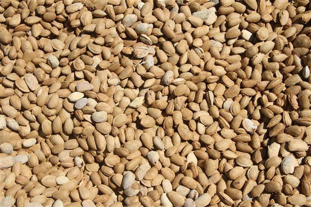 Kimse bunu beklemiyordu