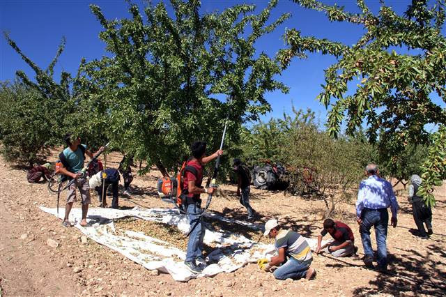 Kimse bunu beklemiyordu