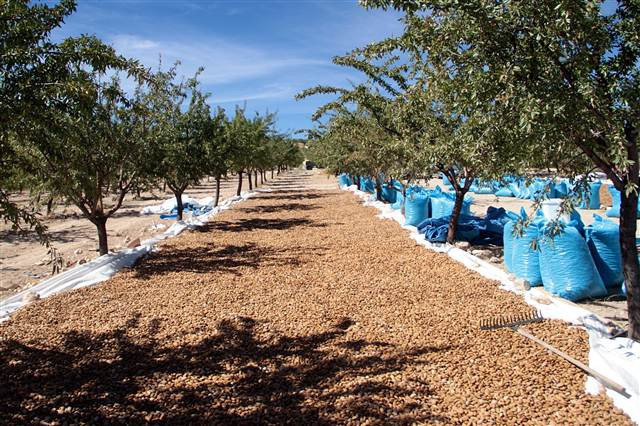 Kimse bunu beklemiyordu