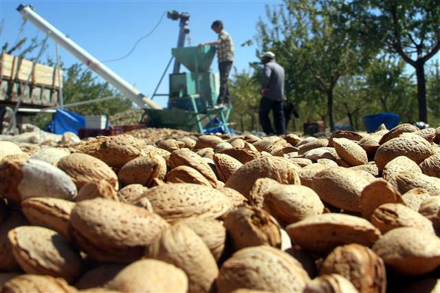 Kimse bunu beklemiyordu