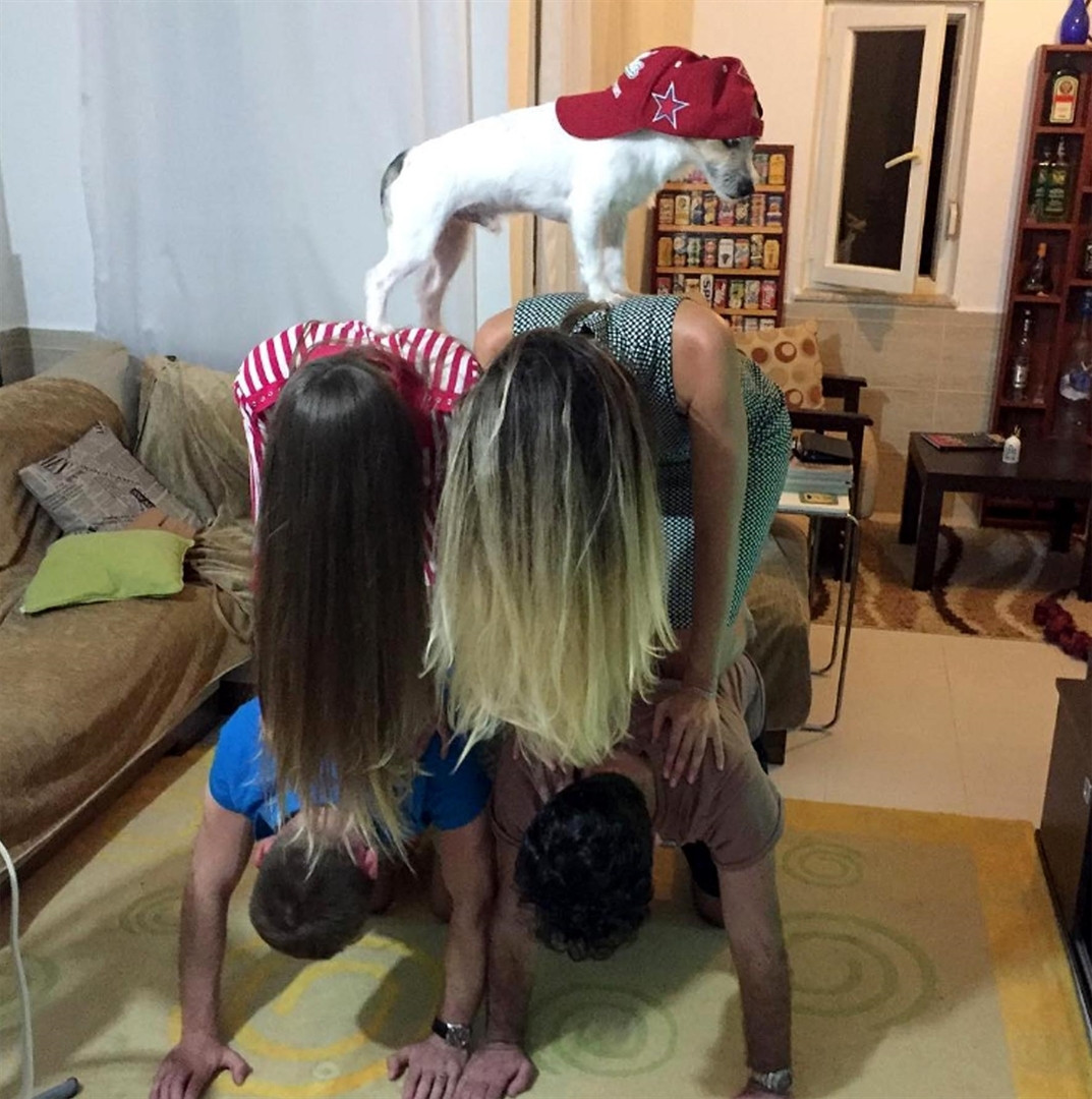Köpek internet fenomeni oldu