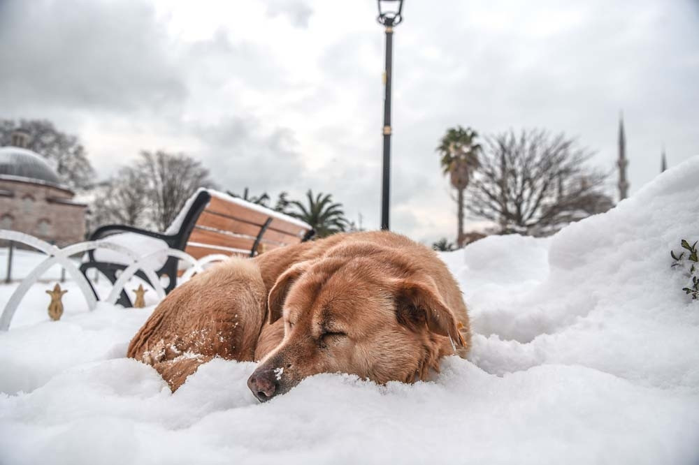 İstanbuldan kar manzaraları