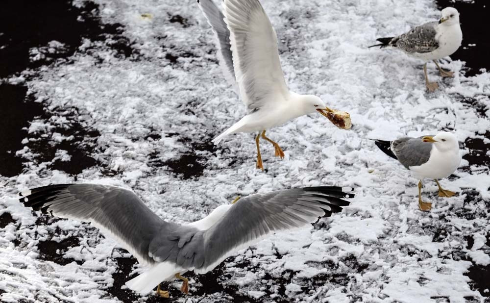 İstanbuldan kar manzaraları