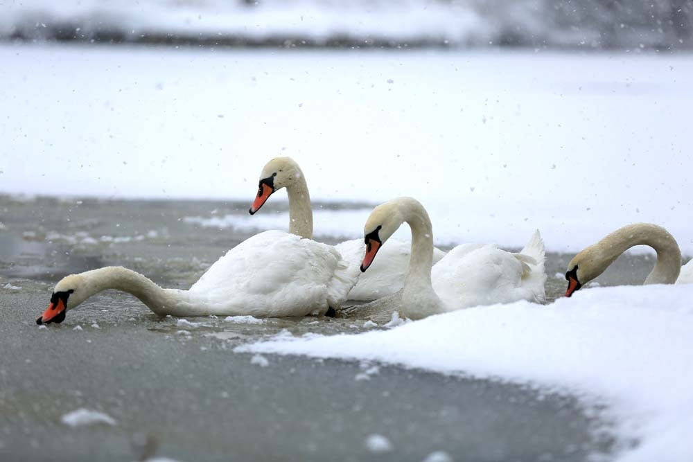 İstanbuldan kar manzaraları