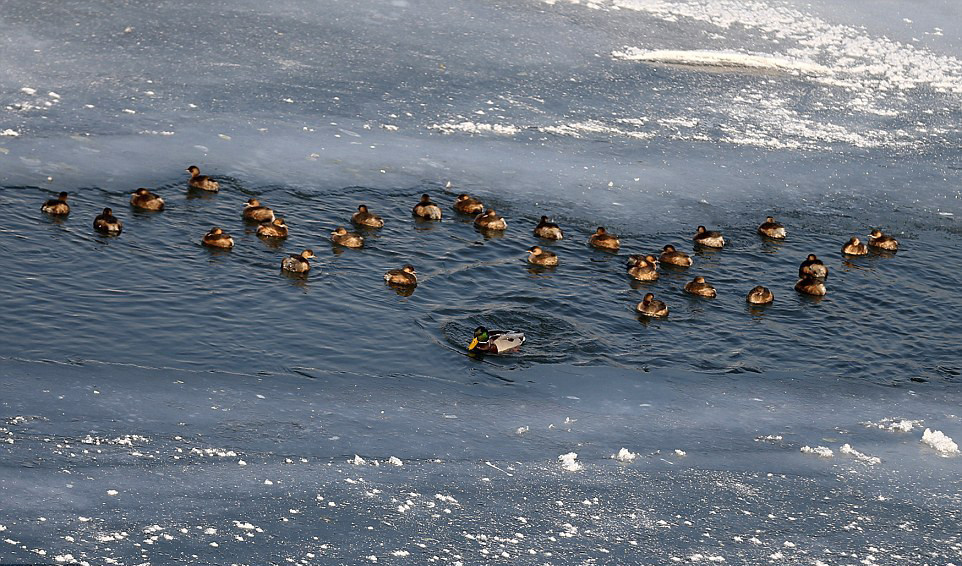 Dondurucu soğuklar Avrupa’yı da esir aldı