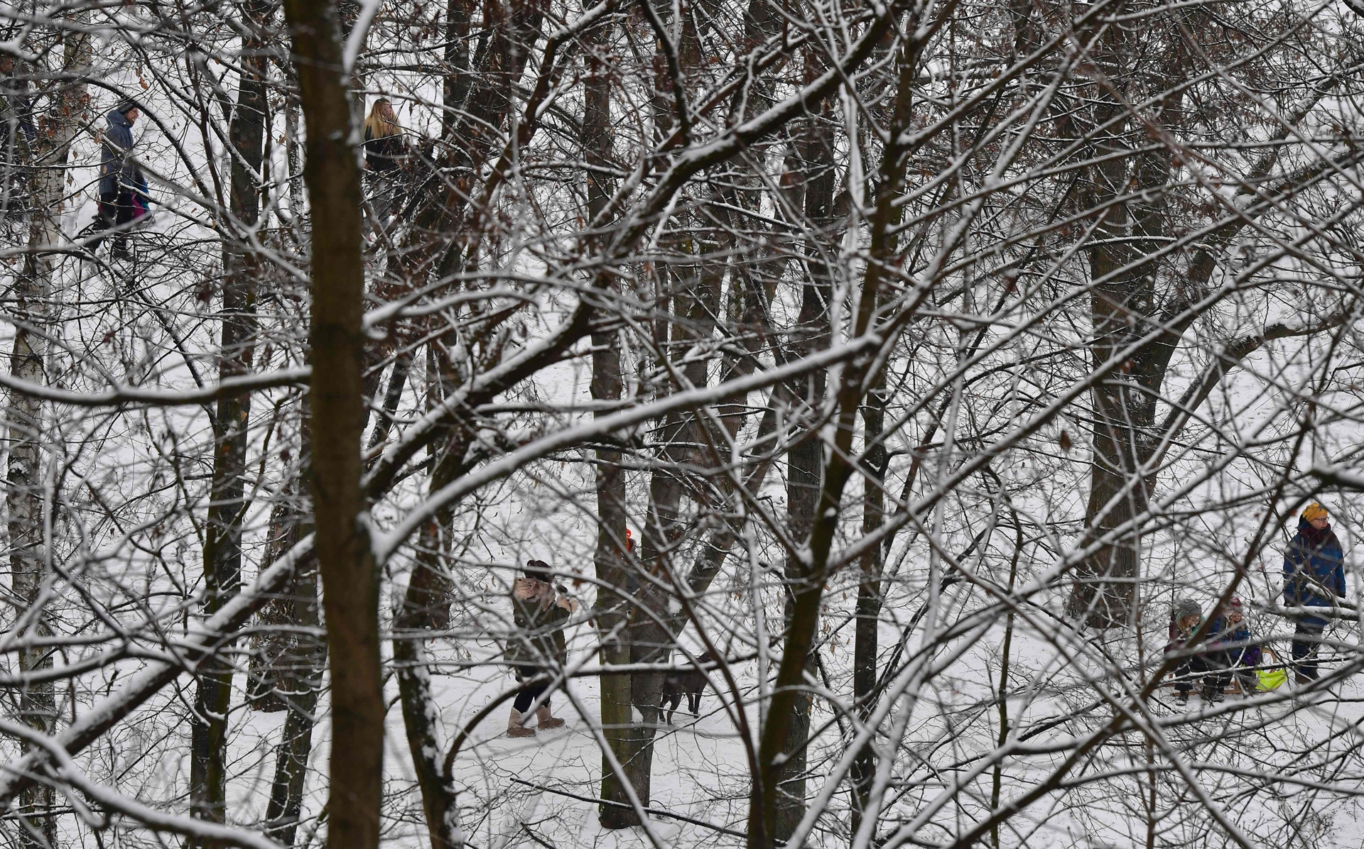 Dondurucu soğuklar Avrupa’yı da esir aldı