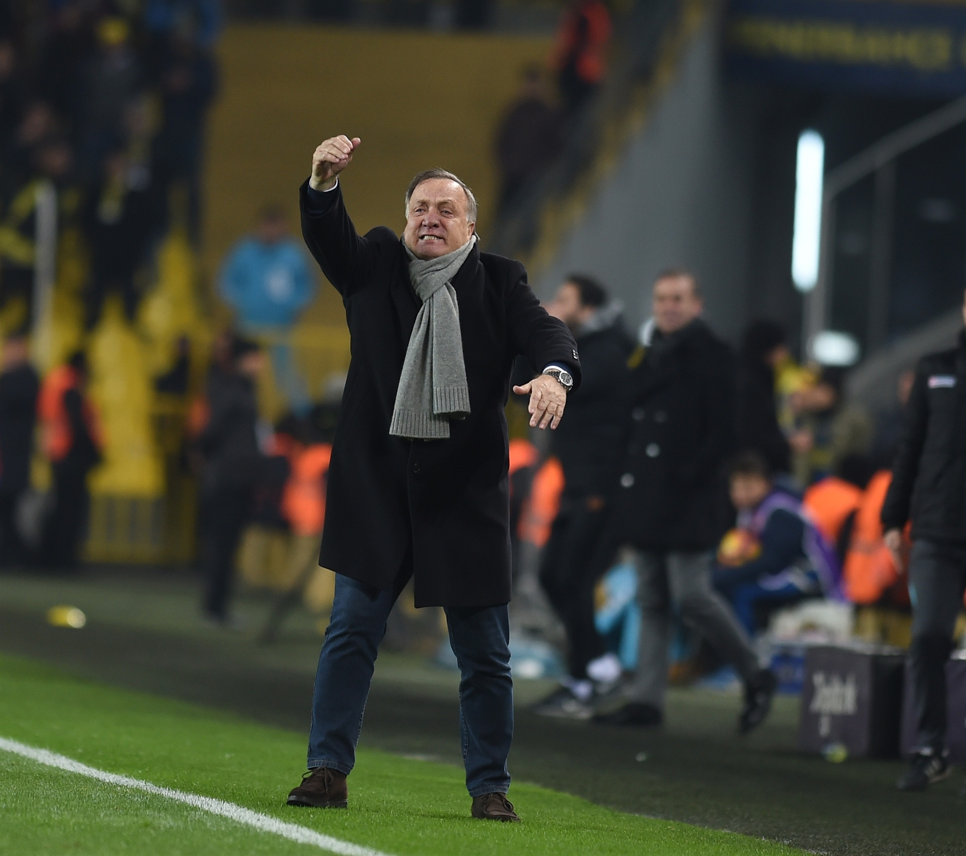 Advocaat çılgına döndü