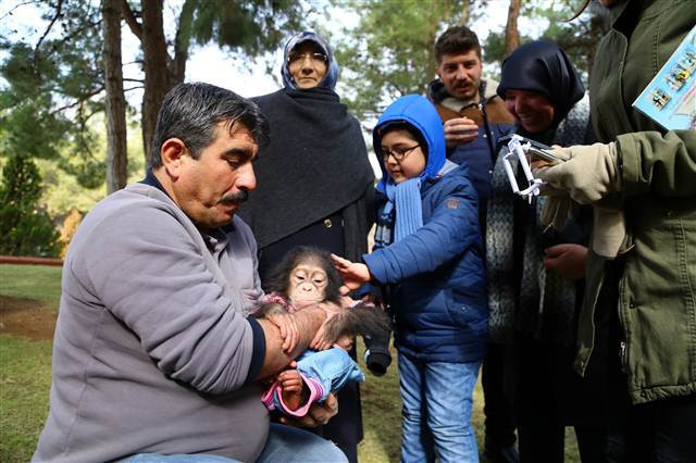Şempanze Can, Gazianteplilerin ilgi odağı oldu