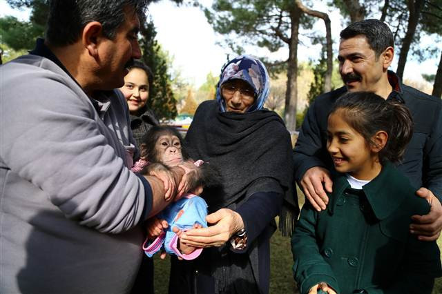 Şempanze Can, Gazianteplilerin ilgi odağı oldu