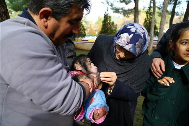 Şempanze Can, Gazianteplilerin ilgi odağı oldu
