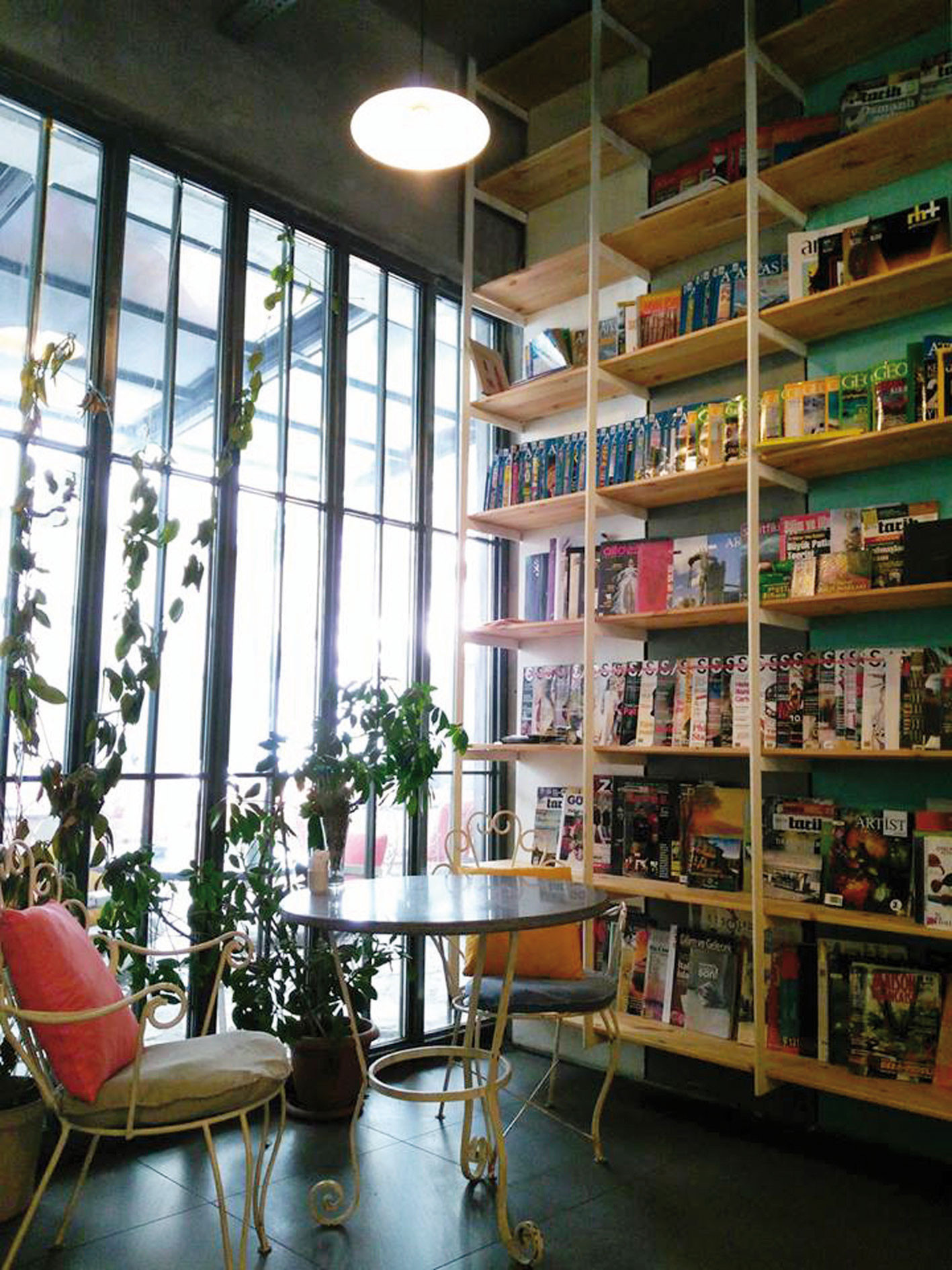 AYRIK OTU / ESKİŞEHİR