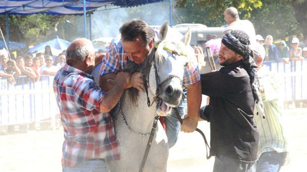 Türütcan aranıyor