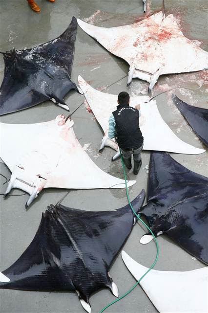 İzmirde büyük sürpriz 30 tane aynı anda yakalandı