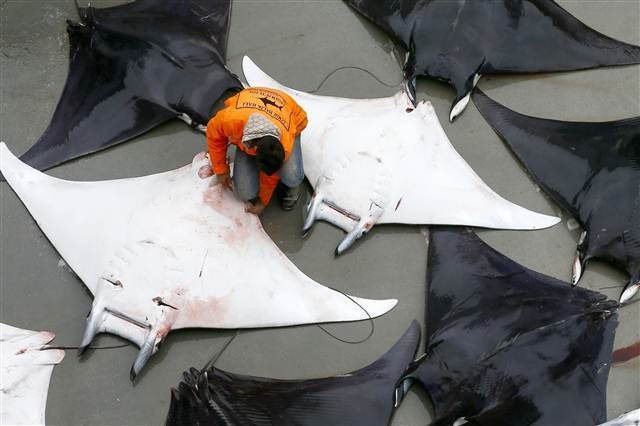 İzmirde büyük sürpriz 30 tane aynı anda yakalandı