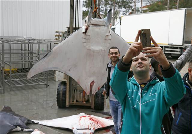 İzmirde büyük sürpriz 30 tane aynı anda yakalandı