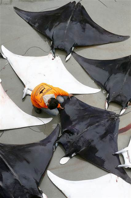 İzmirde büyük sürpriz 30 tane aynı anda yakalandı