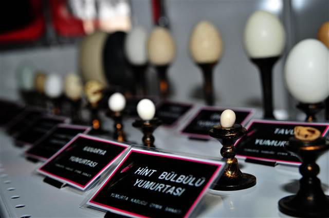 Kaza geçirince bu işe başladı...