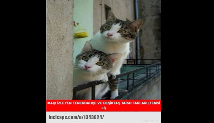 Galatasaray yendi, Capsler patladı