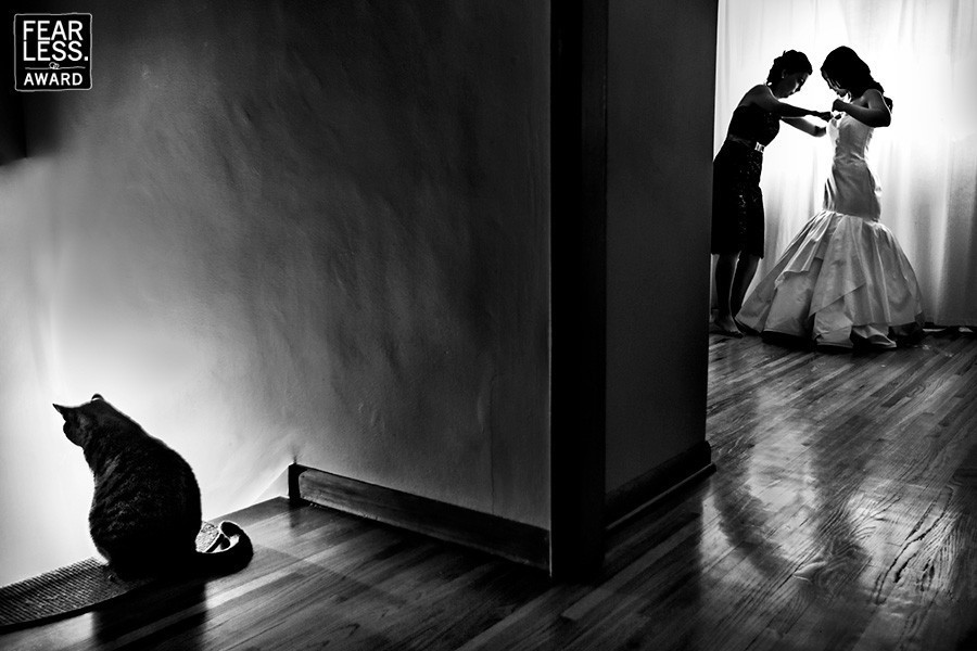 Korkusuz fotoğraflar görenleri şaşırtıyor Korkusuz fotoğraflar görenleri şaşırtıyor