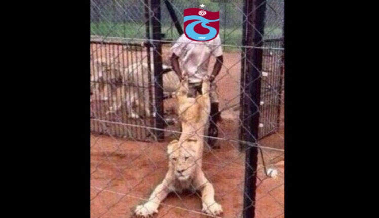 Trabzonspor - Galatasaray maçı sonrası capsler