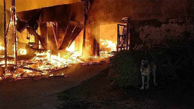 Samsunda fabrika yandı,  zincirle bağlı olan köpeği ölümden itfaiye kurtardı