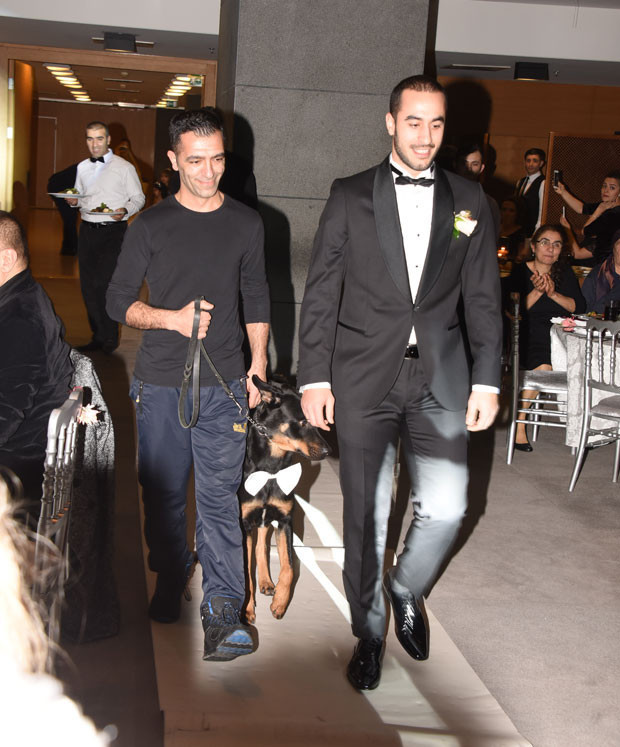 Davetlileri şaşırtan misafir Davetlileri şaşırtan misafir