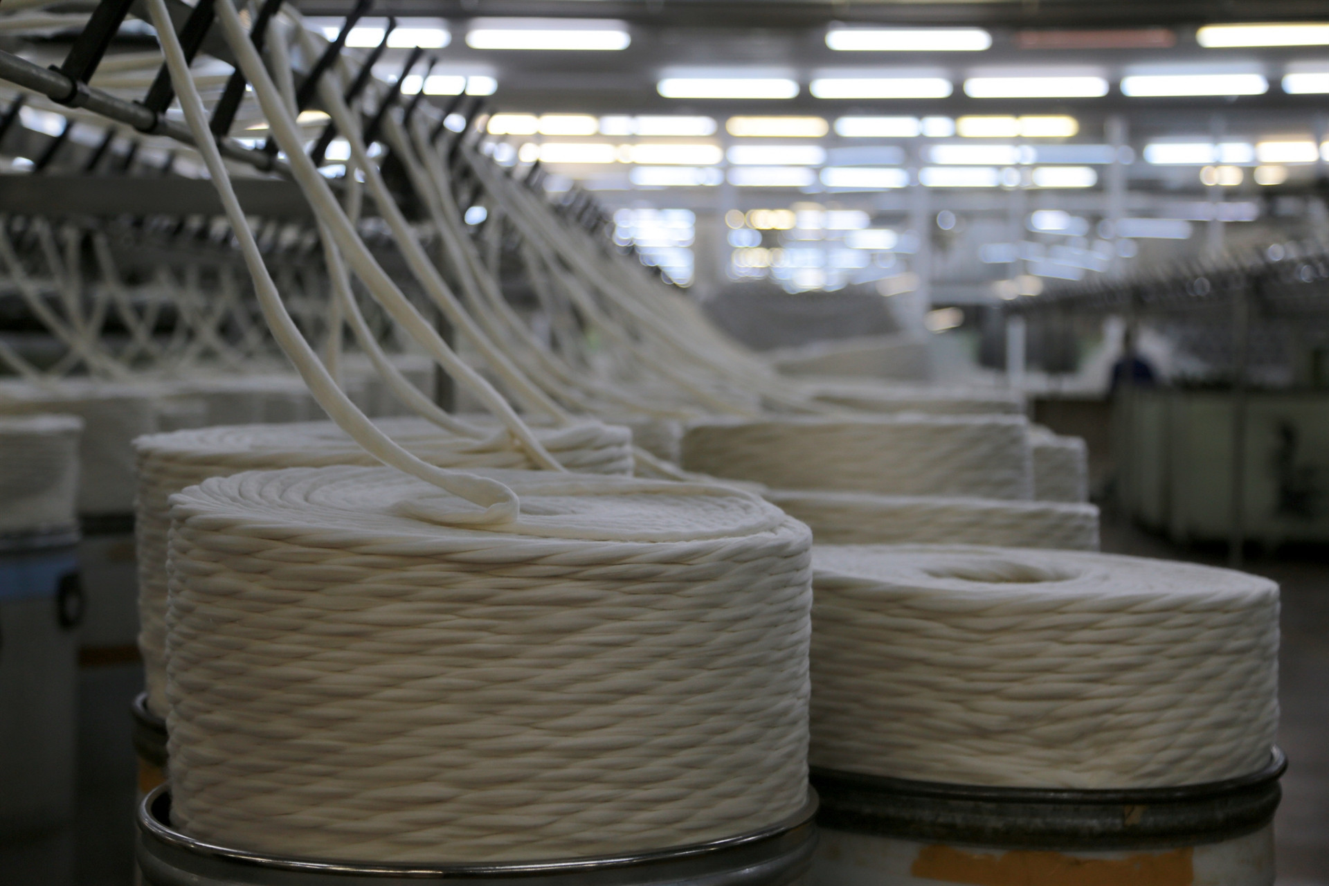 Pet şişelerden yaptıkları inanılmaz Amerika ve Avrupaya ihraç ediyorlar...