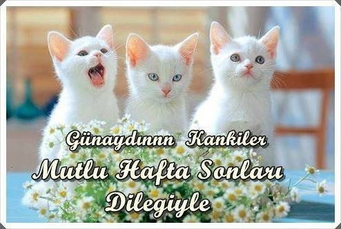 Hafta sonu mesajları - 2019un en eğlenceli ve komik hafta sonu mesajları