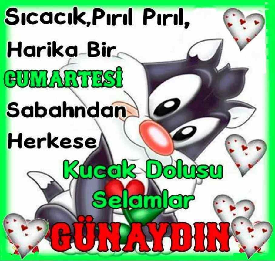 Hafta sonu mesajları - 2019un en eğlenceli ve komik hafta sonu mesajları