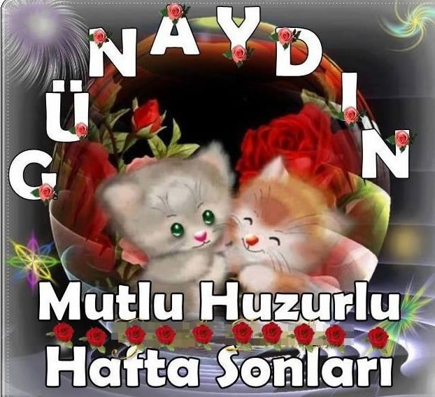 Hafta sonu mesajları - 2019un en eğlenceli ve komik hafta sonu mesajları