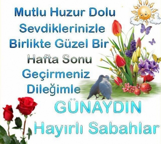 Hafta sonu mesajları - 2019un en eğlenceli ve komik hafta sonu mesajları