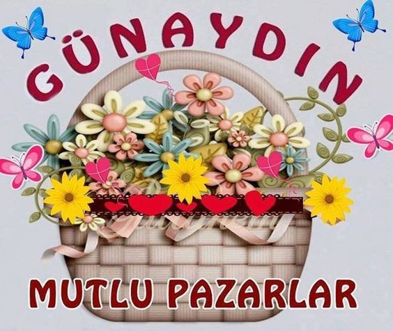 Hafta sonu mesajları - 2019un en eğlenceli ve komik hafta sonu mesajları