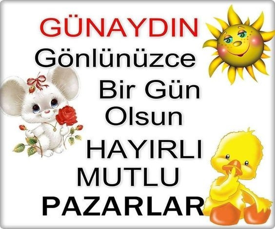Hafta sonu mesajları - 2019un en eğlenceli ve komik hafta sonu mesajları