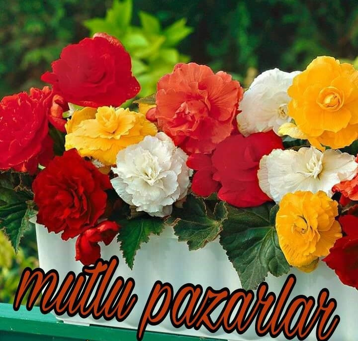 Hafta sonu mesajları - 2019un en eğlenceli ve komik hafta sonu mesajları
