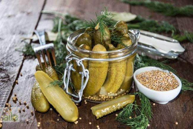 Salatalık turşusu tarifi