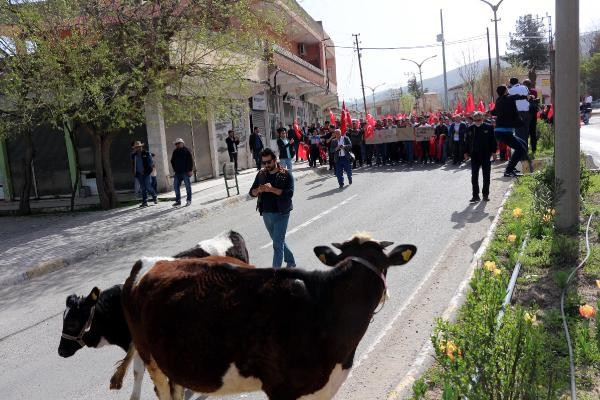 Hasankeyfte arbede…