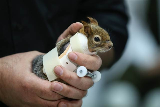 Karamel bir ilk oldu, alışmaya çalışıyor...