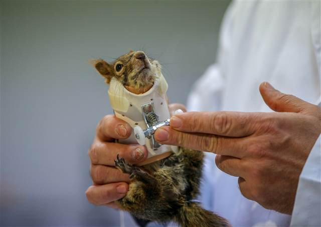 Karamel bir ilk oldu, alışmaya çalışıyor...