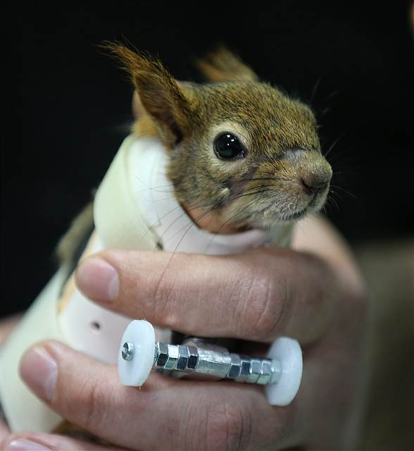 Karamel bir ilk oldu, alışmaya çalışıyor...