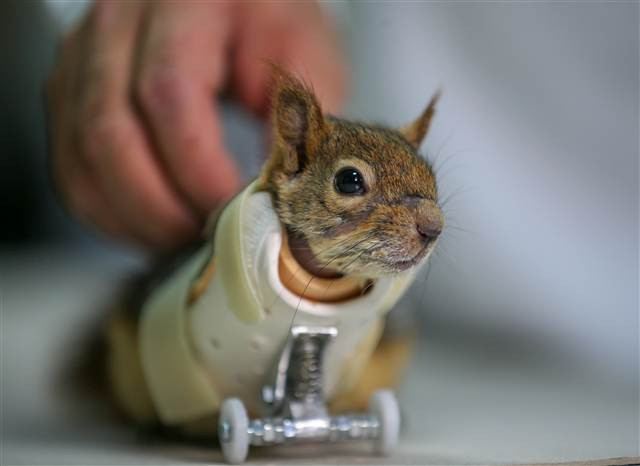 Karamel bir ilk oldu, alışmaya çalışıyor...