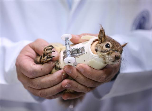 Karamel bir ilk oldu, alışmaya çalışıyor...