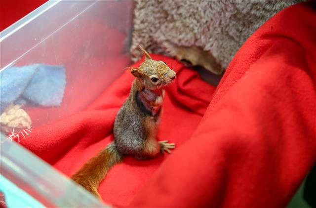 Karamel bir ilk oldu, alışmaya çalışıyor...