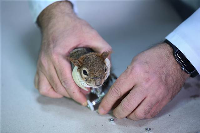 Karamel bir ilk oldu, alışmaya çalışıyor...