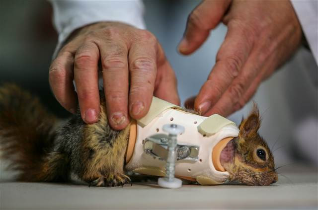 Karamel bir ilk oldu, alışmaya çalışıyor...