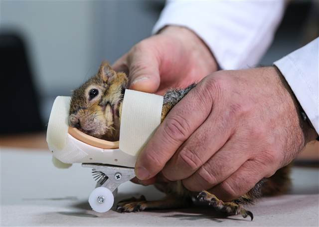 Karamel bir ilk oldu, alışmaya çalışıyor...