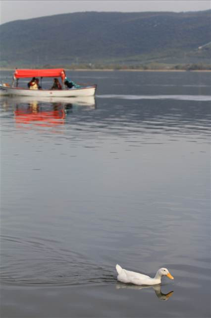 Havalar ısındı Gölyazı canlandı