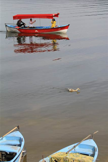 Havalar ısındı Gölyazı canlandı